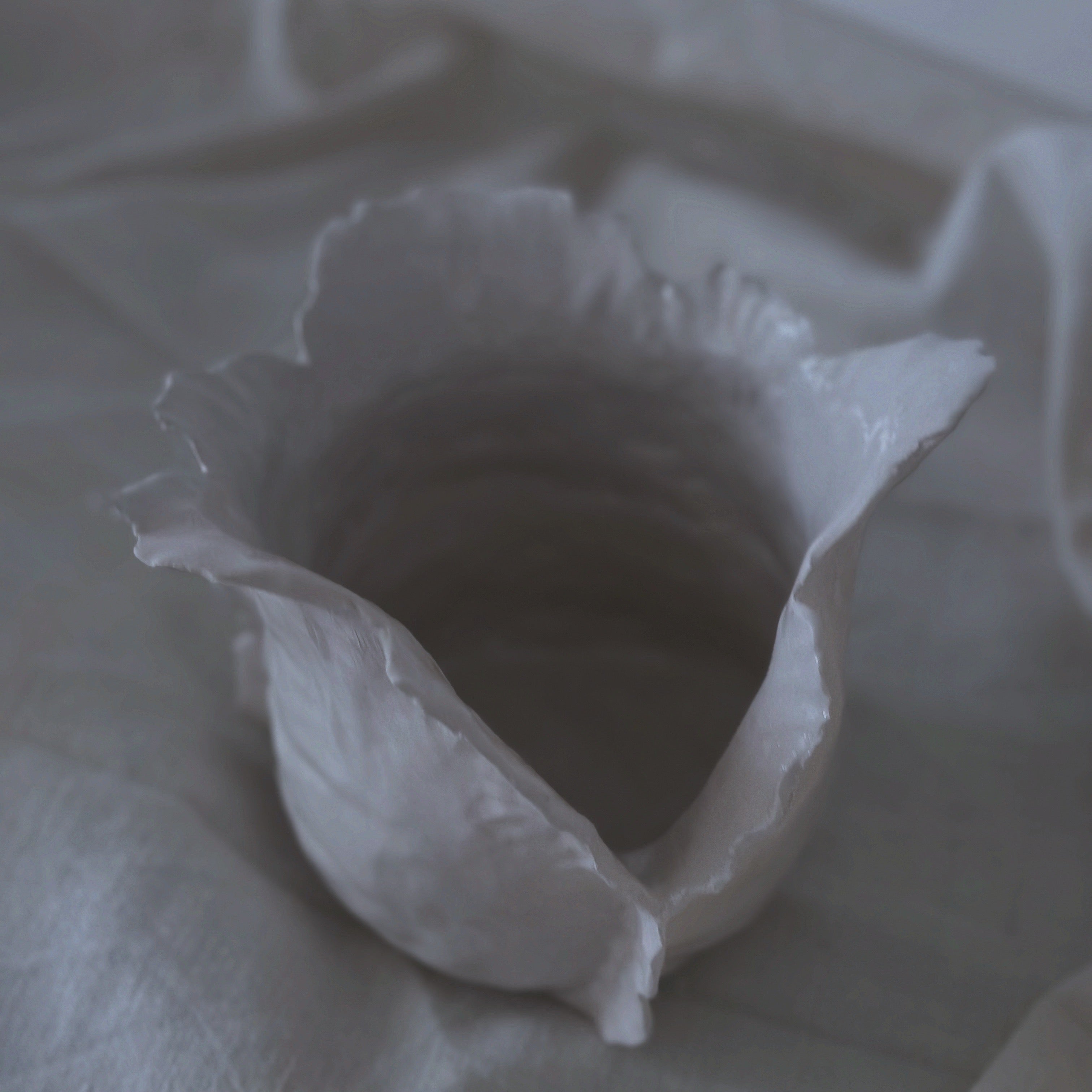 Vaso Bloom