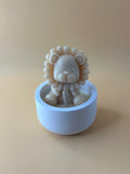 Leone baby in contenitore