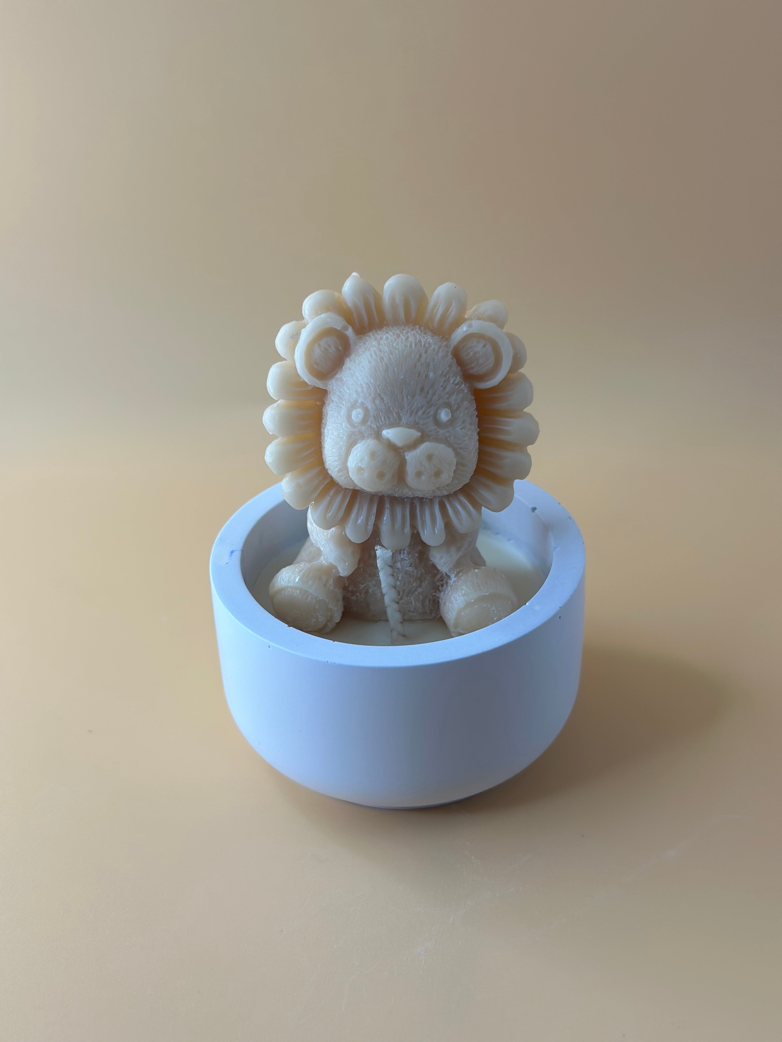 Leone baby in contenitore