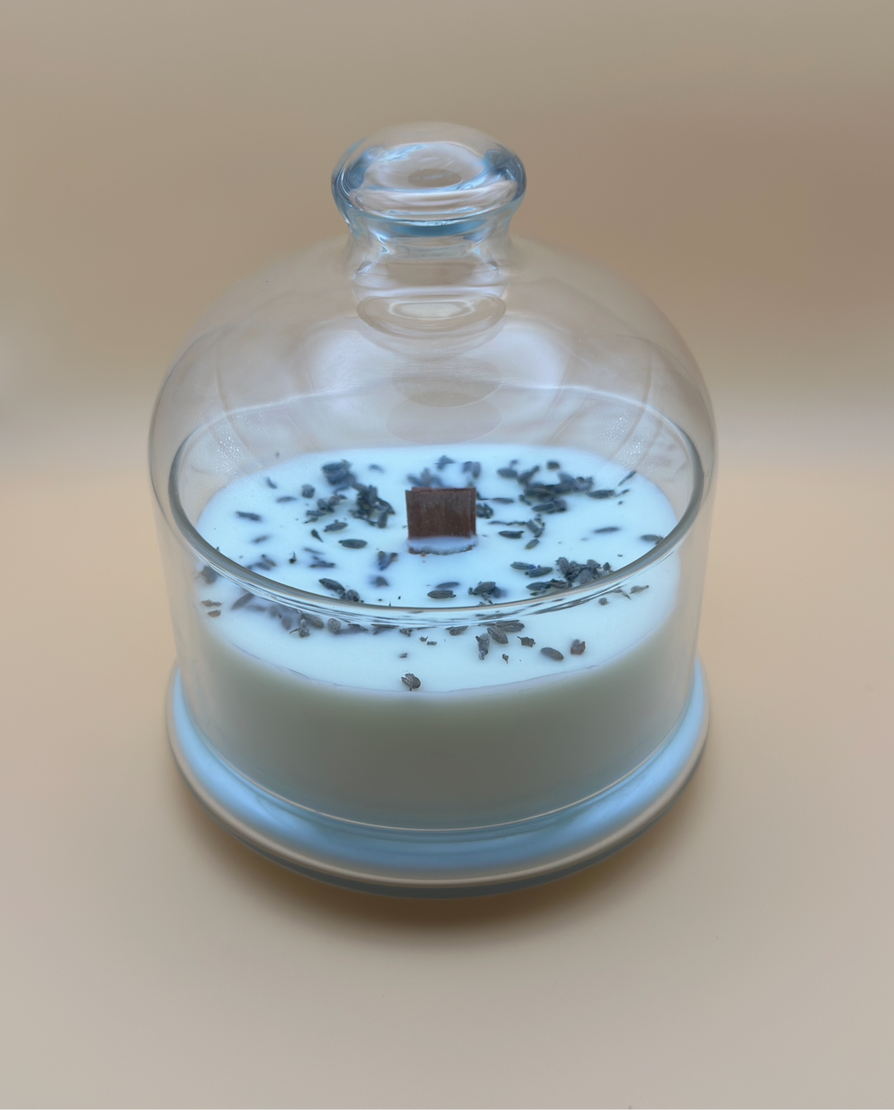 Candela in vetro con cloche grande