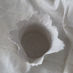 Vaso Bloom
