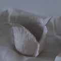 Vaso Bloom