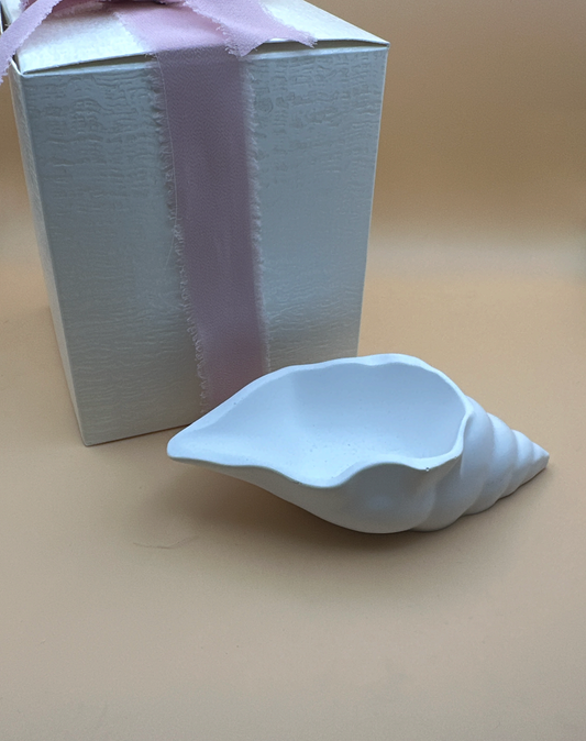 Candele in Serie di Conchiglie