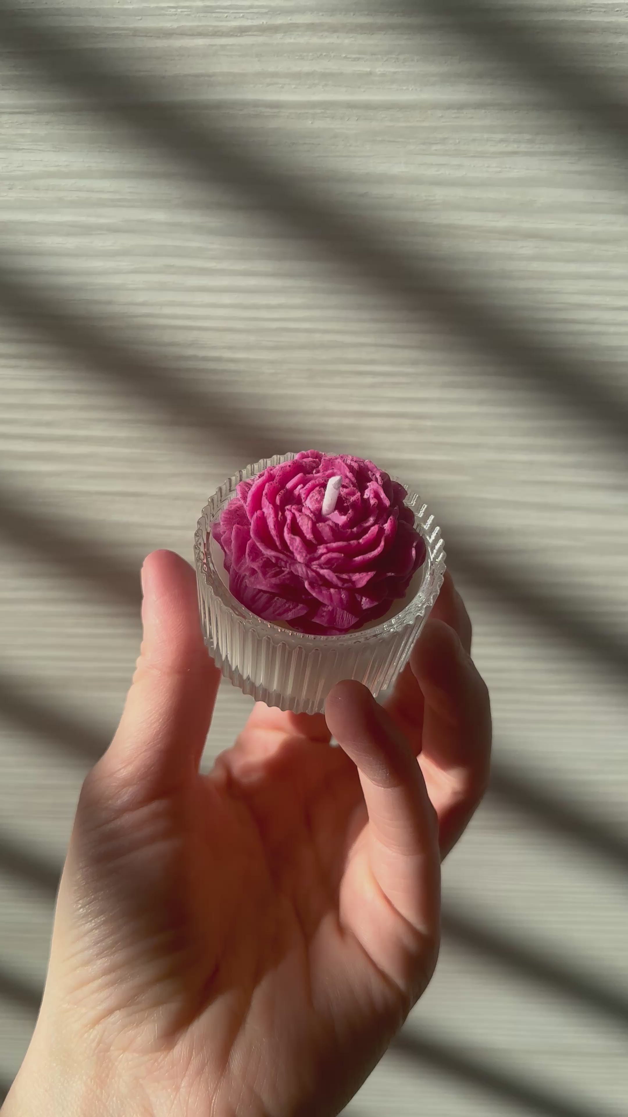 Peonia in vasetto