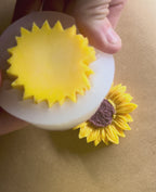Girasole